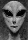 An alien - Picture of an alien.