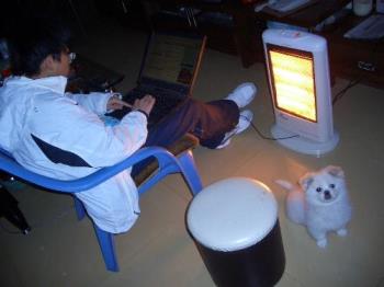 my poodle in the living room next to my son - this is my poodle looking at me with a puzzled look