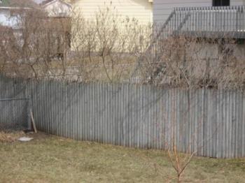 Back Fence - Tons of Lilacs here each Summer Back Fence - Tons of Lilacs here each Summer