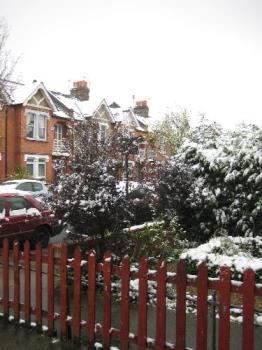 a bit of snow - The snow outside this morning at about 10.00, it's all gone now :( a bit of snow - The snow outside this morning at about 10.00, it's all gone now :(