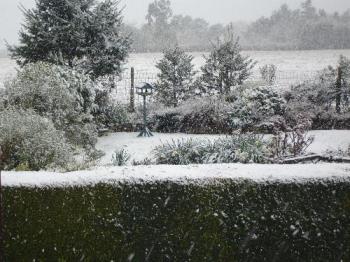 The Garden under April Snow - The Garden under snow... April 6th, 2008. The Garden under April Snow - The Garden under snow... April 6th, 2008.