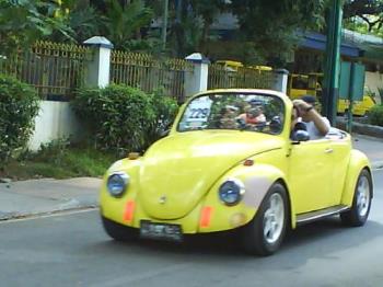 yellow beetle - one of my favorites. :)