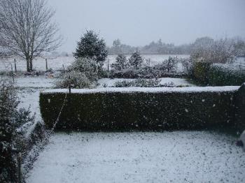 Garden and Field Under Snow - The whole garden and field were under snow when this picture was taken and it was still snowing. 6/4/08 Garden and Field Under Snow - The whole garden and field were under snow when this picture was taken and it was still snowing. 6/4/08
