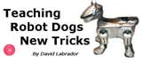 This would be much easier! lol - I couldn't teach my dogs that trick. Good luck! This would be much easier! lol - I couldn't teach my dogs that trick. Good luck!