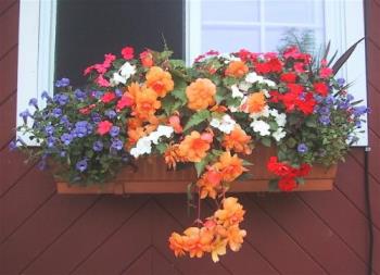 Flower Box - This is an idea I may plant this weekend. I love the variety of flowers. Flower Box - This is an idea I may plant this weekend. I love the variety of flowers.