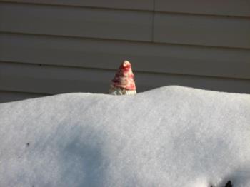 Poor Gnome - he is shivering in that snow pile Poor Gnome - he is shivering in that snow pile