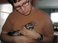 ferret and friend - ferrets make good pets and a good way to rid the house of rodents