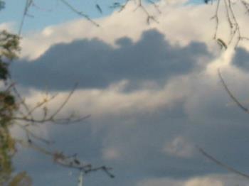 Croc Cloud? - I see a crocodile here.