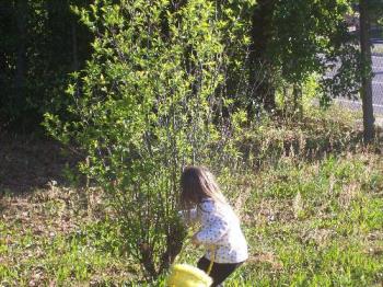 daughter picking up any trash  - We grab a beach bucket and picj up any trash out in the yard