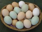 eggs in a basket - eggs in a basket show different colors. i love eggs.