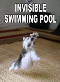 swimming cat - this is funny
