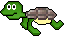 turtle - turtle