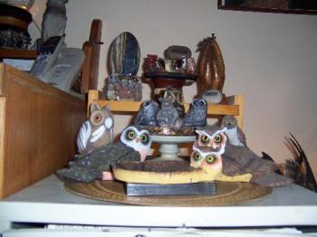 Owls from my collection - I love owls...these are just a few from the many owls I have in my collection. 