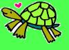 Turtle - eating turtle