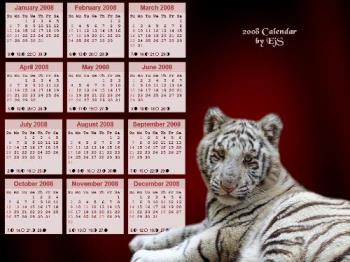 Calendar Wallpaper - White tiger cub wallpaper that I created