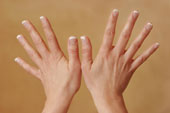 French manicured fingernails - A picture of French manicured fingernails.
