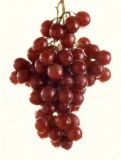 Red Grapes - Red Grapes, a bunch of sweet juicy red grapes