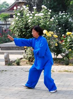 Tai Chi Standing or Sitting is OK - Tai Chi. Can now be done sitting down. 
