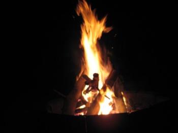 Skyward - Love the dancing flames as the reach for the sky