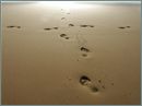 Footprints in the sand. - Making footprints in the sand. Bare feet wondering around.
