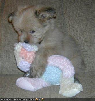 Sad like Gissi was - This is how sad I was Sad like Gissi was - This is how sad I was