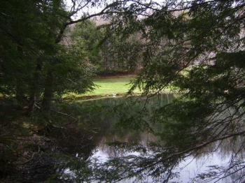 Nature - The beauty of Nature