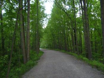 Bike Trail - Part of a bike trail at Ohiopyle State park