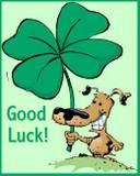 Good Luck - Good Luck dog Good Luck - Good Luck dog