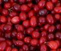 Cranberries - Some cranberries for you to eat.