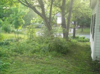 Cutting brush beside the house - This is after one day of work. At least you can see the road now.