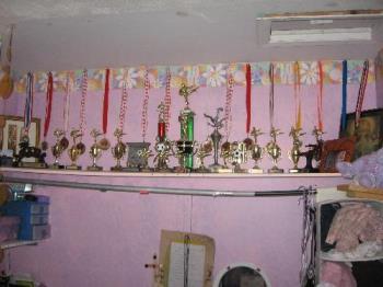 15 year old's trophy shelf - This is a shelf of trophies and medals my daughter has acquired over the years of sports participation. 15 year old's trophy shelf - This is a shelf of trophies and medals my daughter has acquired over the years of sports participation.