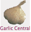 Garlic Clove - Garlic can be used as a seasoning or as a natural medicine.