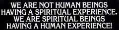 Spiritual Beings... - Don&#039;t have a religion, have a spirituality. 