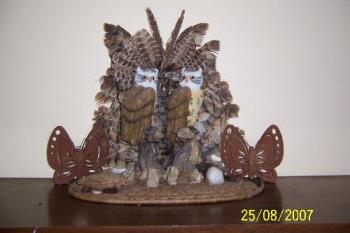 Owls from my collection - I love owls and collect them. This photo was taken of just a couple of the many i have. I also collect butterflies and in this photo there are a couple of them as well. 