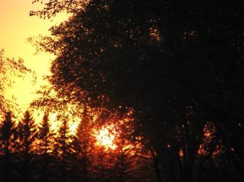 Sunset in our little town - Love rural life...this photo was taken just outside of town.