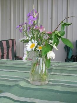 Wildflowers From My Husband -
My husband picked these small wildflowers while we were out on a walk. Isn't he a sweetie? Wildflowers From My Husband -
My husband picked these small wildflowers while we were out on a walk. Isn't he a sweetie?