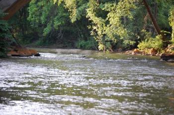 the river - this is where we take our dog swimming