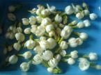 sampaguita - this is the philippines national flower..so small yet this is so fragrant
