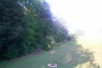 Our back yard - Just a picture of our back yard
