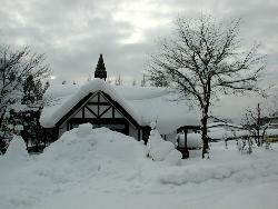 Snow - A picture from japan tour.