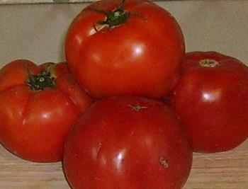 Tomato - tomato...