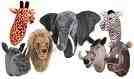 Animal wall trophys - collection of animal trophys