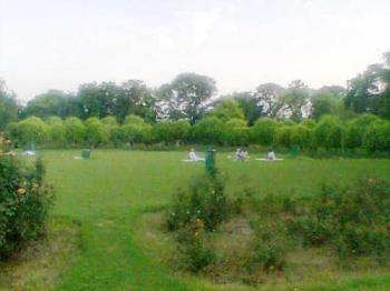 Yoga in park - A group people doing yoga in the park. 