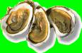 Oysters Anyone? - Gross foods, oysters on a half shell