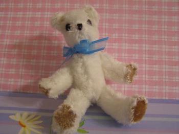 rufus - bear rufus - bear