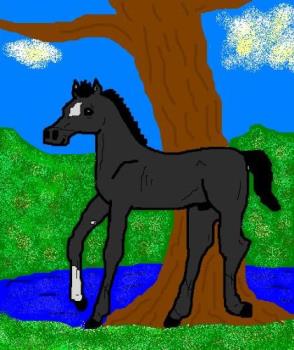 A drawing of a horse I did - I drew this horse on the computer using MS Paint. It's actually supposed to be Black Beauty from the childrens book by Anna Sewell.