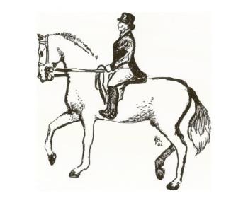 dressage pen and ink - One of my pen and ink's : horse selection