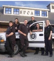 Animal Safety, Pet Protection - Animal Planet's animal cops
Pet protection