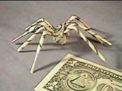 Money - Here is currency note folded as spider