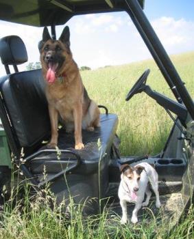 Rosie and Joe - My best girl, Rose, with my husband&#039;s buddy, Joe. Rosie went over the Rainbow Bridge last Aug. I miss here terribly.